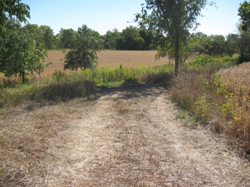 Property photo 45 - 80 Acres Offered in 4 Tracts - Horse Farm